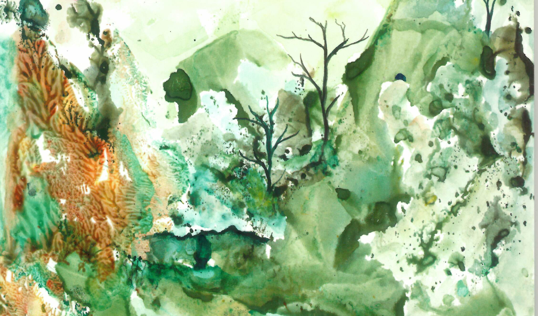 Handbooks and publications Human Rights Capacity-Building Programme