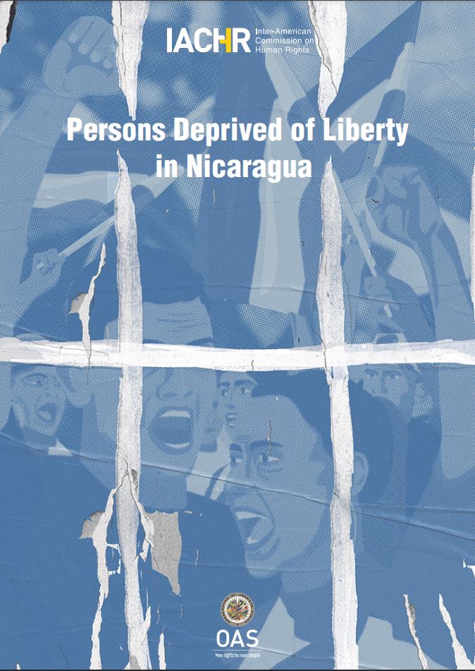 Inter-American Commission of Human Rights (IACHR) Report on Persons ...