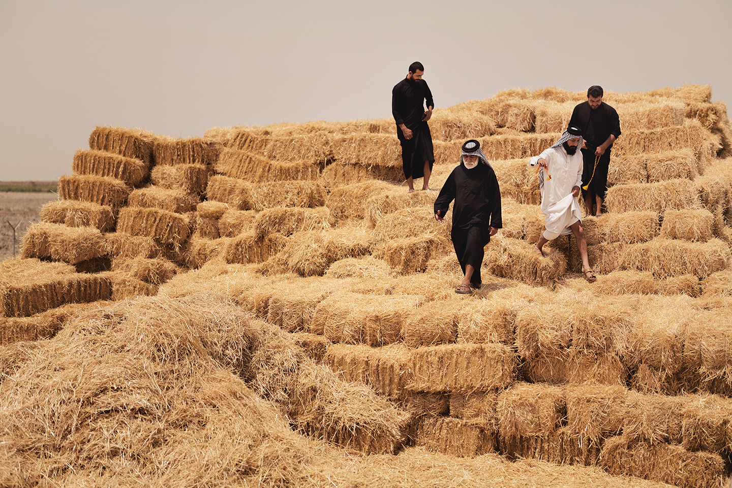Sommige van deze mannen pakten zelf de schop op om de dam van Saddam Hussein, na diens val, af te breken. De moerassen keerden terug. Maar de biodiversiteit niet.