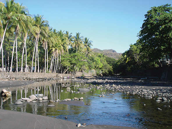 Playa El Zonte