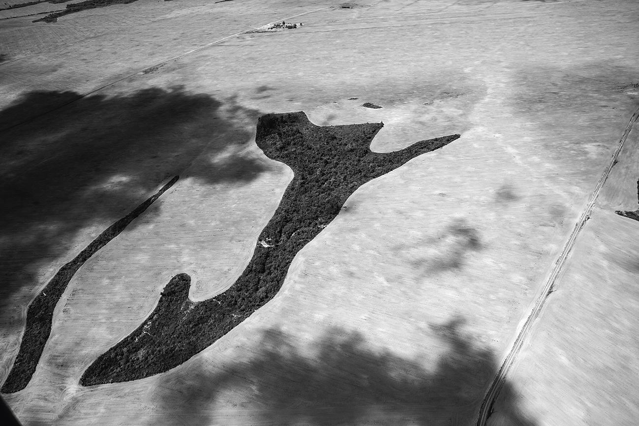 Kleine eilandjes groen zijn alles wat er over is van het grote regenwoud in dit deel van de Braziliaanse staat Pará, de meest ontboste Amazoneregio van het land.