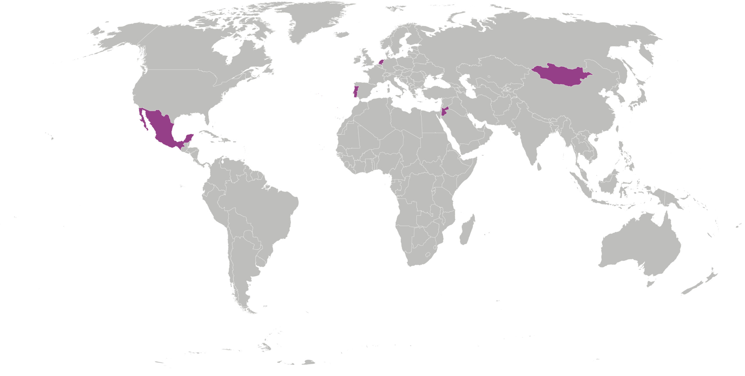 Wereldkaart Nynke Laverman