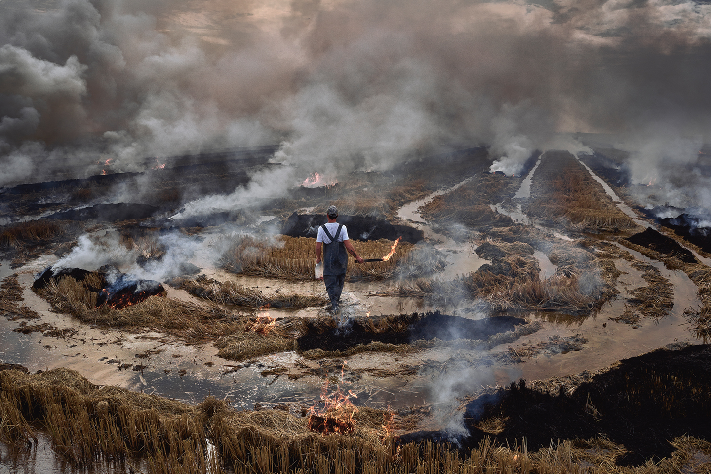 Na de rijstoogst wordt het rijststro illegaal verbrand, wat de lucht in de omgeving enorm vervuilt.