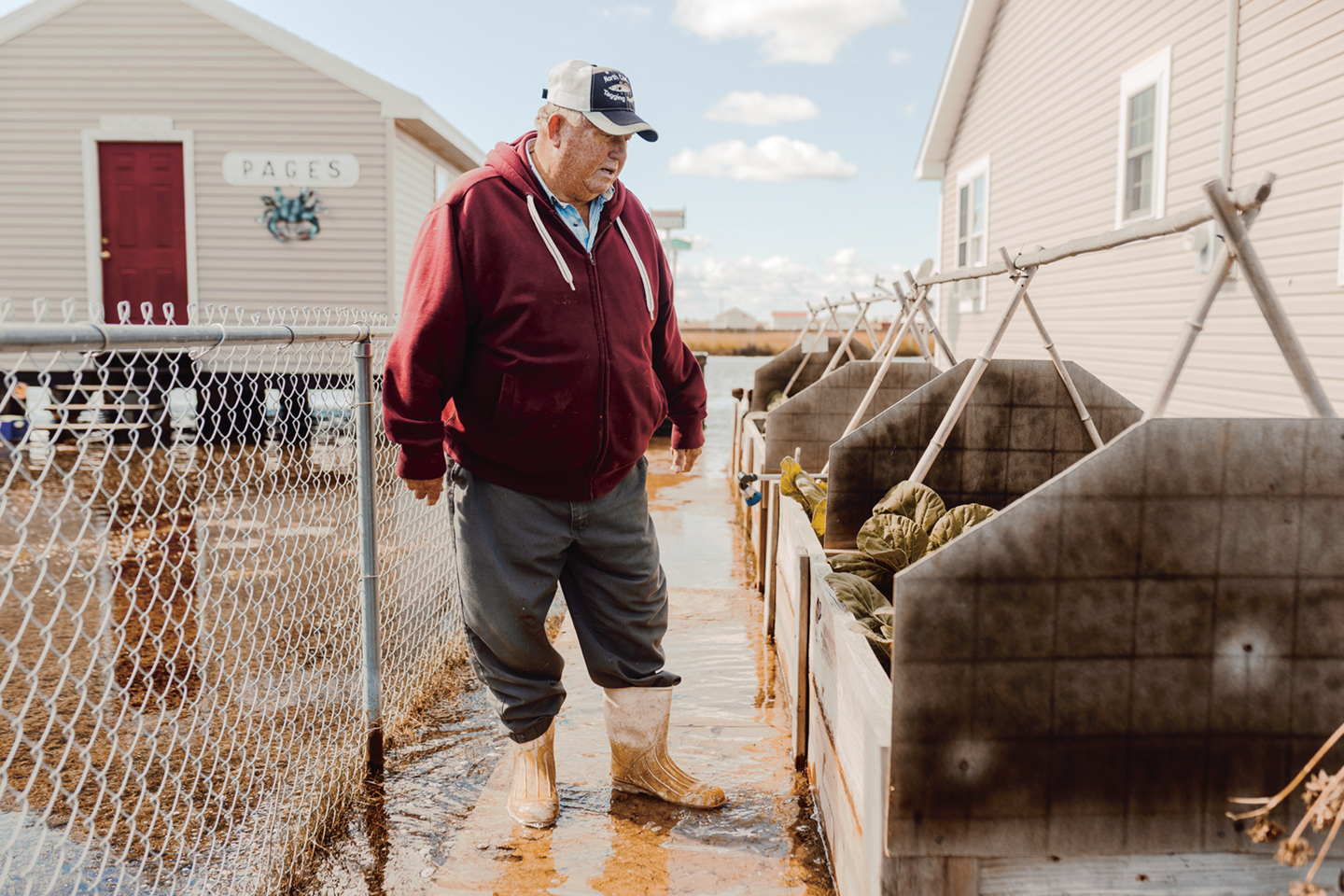 Inwoner Rudy Shores controleert de groente die hij in waterresistente kisten verbouwt.