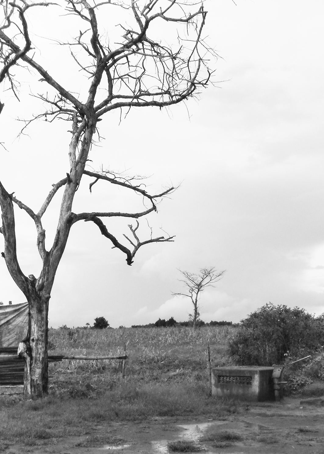 Het kale landschap rond vluchtelingenkamp Kiryandongo.