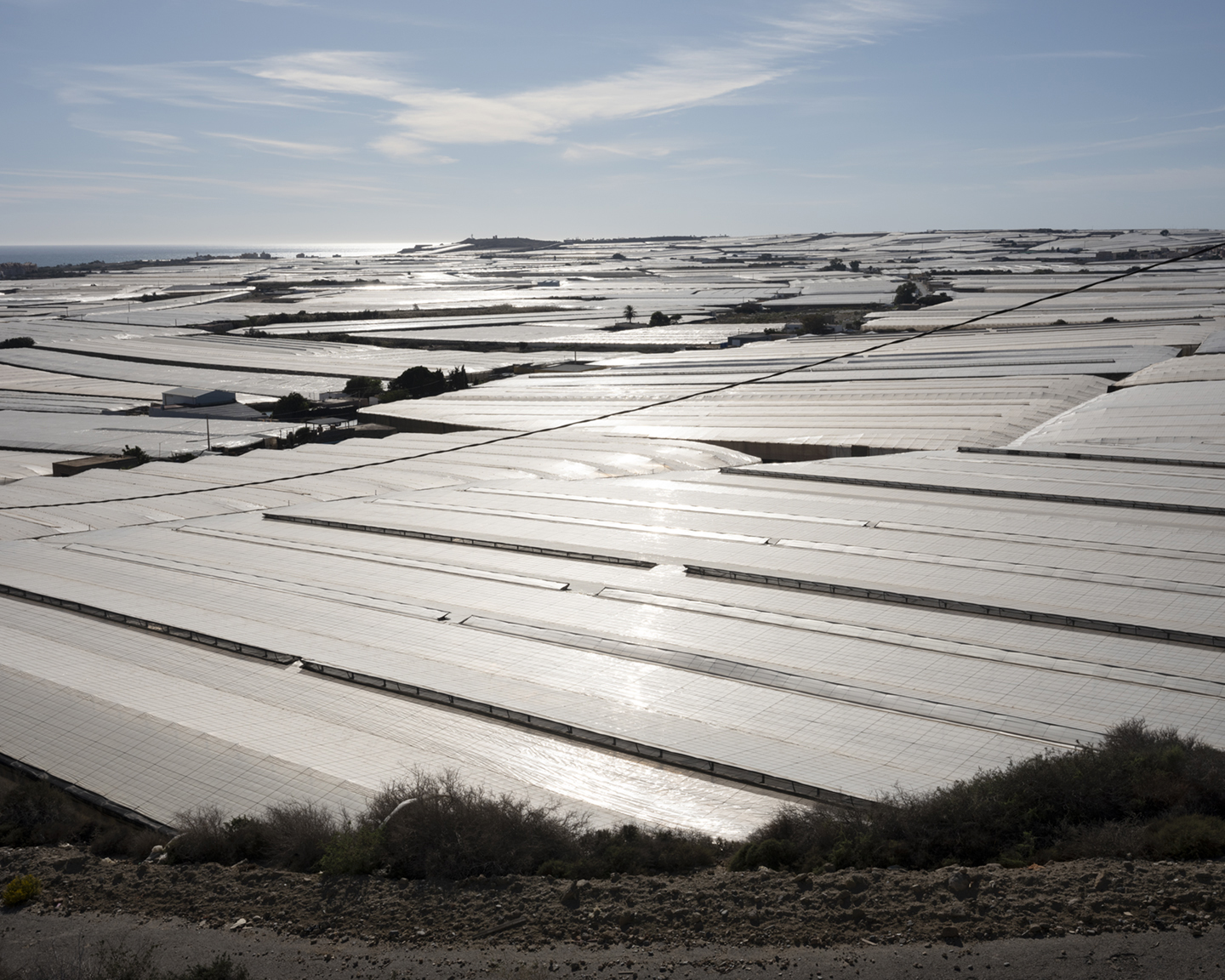 Dun plastic wappert boven de kassen. Zonne-energie is hier in overvloed, dus de kassen worden niet verwarmd.