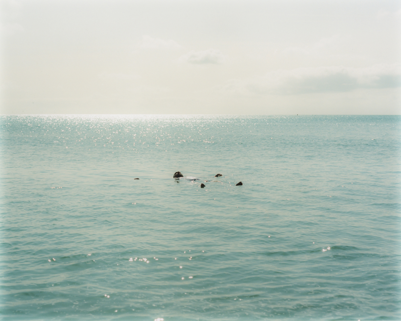 Rojyar, een politiek activist uit Iran, neemt een ochtendduik bij Weymouth Beach.