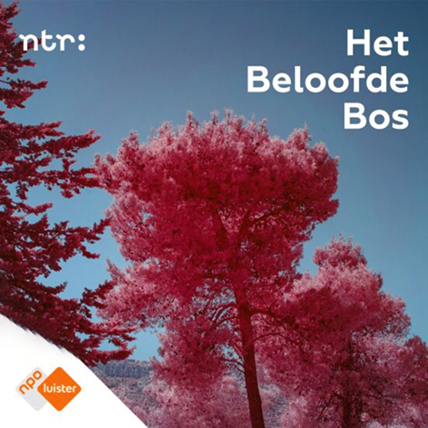 Rachel Corner en Mandula van den Berg, Het beloofde bos.