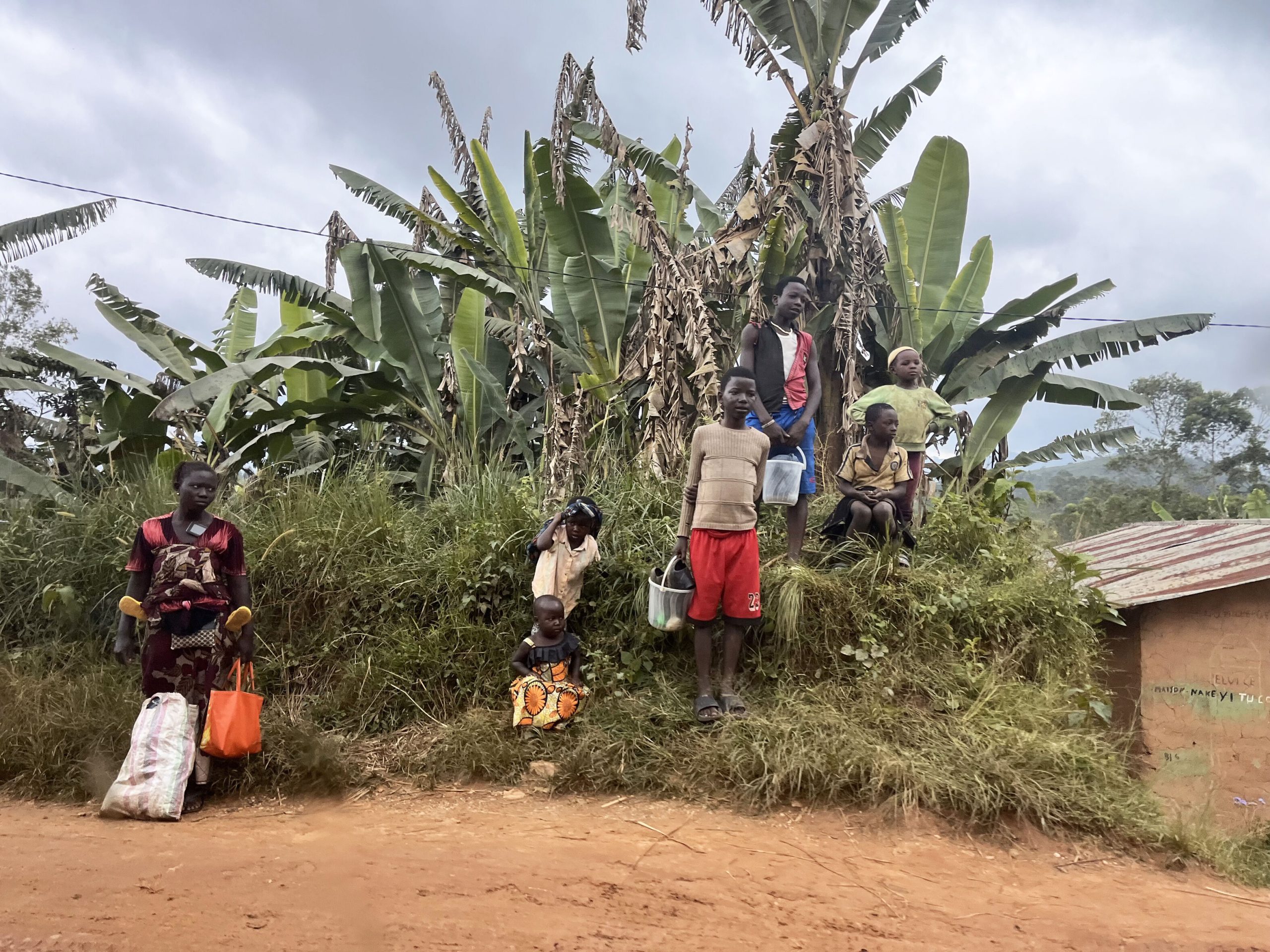 Het ADF is door de VN aangemerkt als een van de partijen die het meest verantwoordelijk zijn voor misstanden met kinderen in de DRC, waaronder ontvoering en rekrutering. (c) Amnesty International