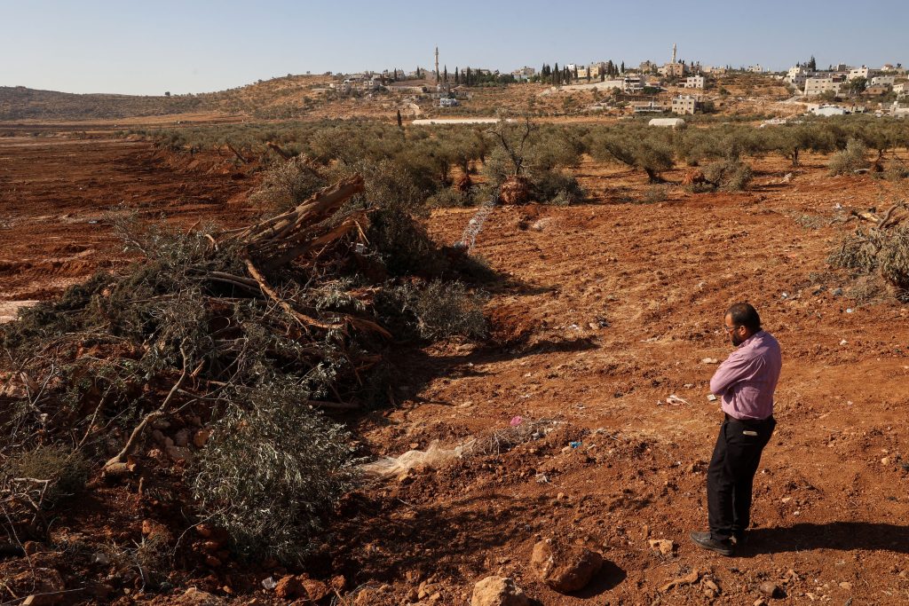 Een Palestijnse man kijkt naar olijfbomen die naar verluidt door Israëlische soldaten met een bulldozer zijn ontworteld in het bezette dorp Al-Mughayyir op de Westelijke Jordaanoever, ten noorden van Ramallah, op 24 augustus 2025.